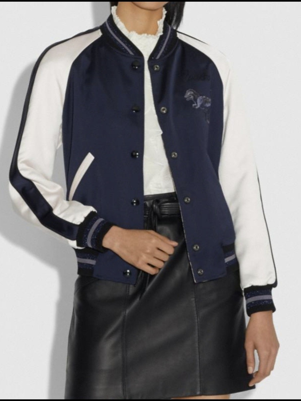 Archival - Limited Edition 2019 Coach "Rexy" Varcity Jacket - Picture 3 of 16